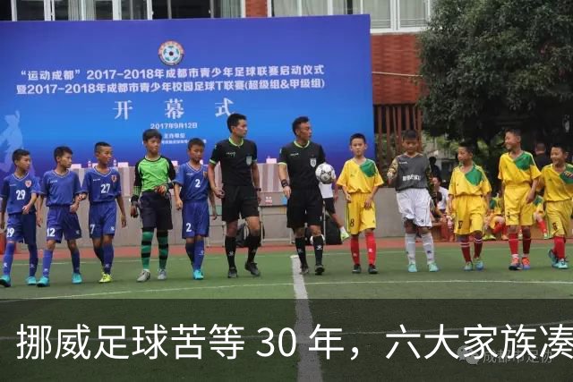 挪威足球苦等 30 年，六大家族凑世界杯主力，老国脚有啥绝招？